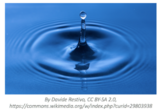 Water as an Essential Molecule of Life