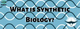 Synthetic Biology Activity