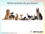 A Free ESL Lesson Plan On Animals And Pets