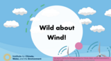 Wild About Wind