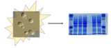 Yeast protein extracts