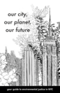 Environmental Justice Zine & Action Plan for NYC Teens