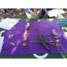 Stem and Leaf Plots -- Out Teach