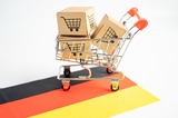 German Level 1, Activity 07: Haushalt Einkaufen / Household Shopping (Online)