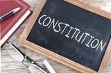 Petition: A Constitutional Covention Game