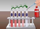 Serial Dilutions