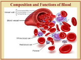 Blood : Lifeline of  Humans