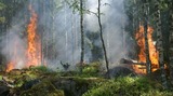 PEI SOLS Middle School Fire: Forest Management (Spanish)
