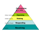 Affective Domain Assessment