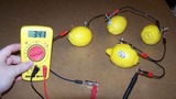 Cell Structure and Function Lemon Battery Lab