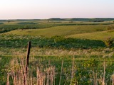Rangelands in Nebraska