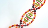 Type 2 Diabetes, Our Genes, and the Polyphenols that Improve their Function