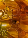 Soybean Oil Temperature & Viscosity