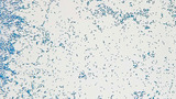 Micrograph Escherichia coli methylene blue 400x p000002