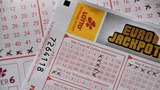 Katakana Bingo, Novice Low, Japanese 101, Online