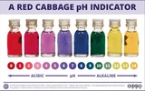 Use of red cabbage juice as pH indicator