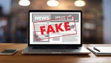 Fact or Fiction: Detecting Fake News on the World Wide Web