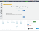 Carotenoid Biosynthetic Pathway