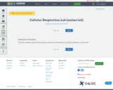 Cellular Respiration Lab (online lab)