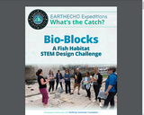 Bio-Blocks - A Fish Habitat STEM Design Challenge