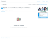 Advanced Professional Writing Course