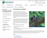 Washington Wildlife:  1st grade unit on Washington’s baby wildlife