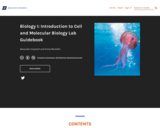 Introduction to Cell and Molecular Biology Lab Guidebook