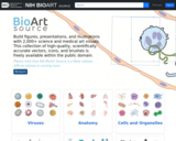 Bioart