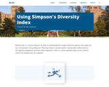 Using Simpson's Diversity Index
