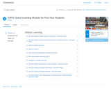 IUPUI's Global Learning Module for First-Year Students
