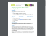 Energy Flow Activity 3: Building Food Chains (Grades 2-5)