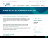 Interactive evidence decision-making tool