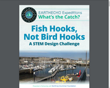 Fish Hooks, Not Bird Hooks: A STEM Design Challenge
