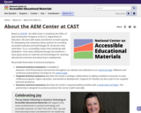 About the AEM Center at CAST