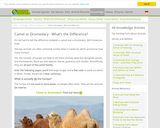 Camel or Dromedary - What’s the Difference?