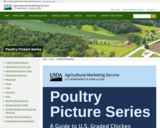 Poultry Picture Series:  A Guide to U.S. Graded Chicken