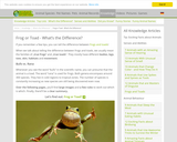 Frog or Toad - What’s the Difference?
