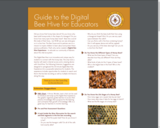 Guide to the Digital Bee Hive for Educators