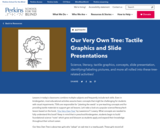 Our Very Own Tree: Tactile Graphics and Slide Presentations