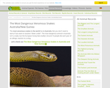 The Most Dangerous Venomous Snakes: Australia and New Guinea