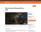 Video: The Living Soil Beneath Our Feet