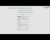 Overview on simple bioinformatic tools for DNA sequence analysis