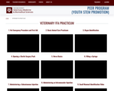 Veterinary FFA Practicum - TX A&M PEER Program (Youth STEM Promotion)