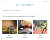 Patterns Biology