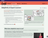 Adaptivity & Expert Learners