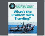 What’s the Problem with Trawling?