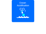 Ocean Acidification: A Systems Approach to a Global Problem