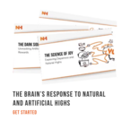 Brain's Reaction: Natural High vs. Artificial Highs