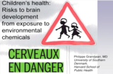 Children’s health - Risks to brain development from exposure to environmental chemicals