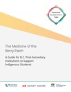 The Medicine of the Berry Patch: A Guide for B.C. Post-Secondary Institutions to Support Indigenous Students